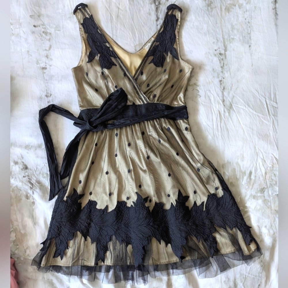 Ryu: Tea-length A-line champagne dress with black lace overlay, size small